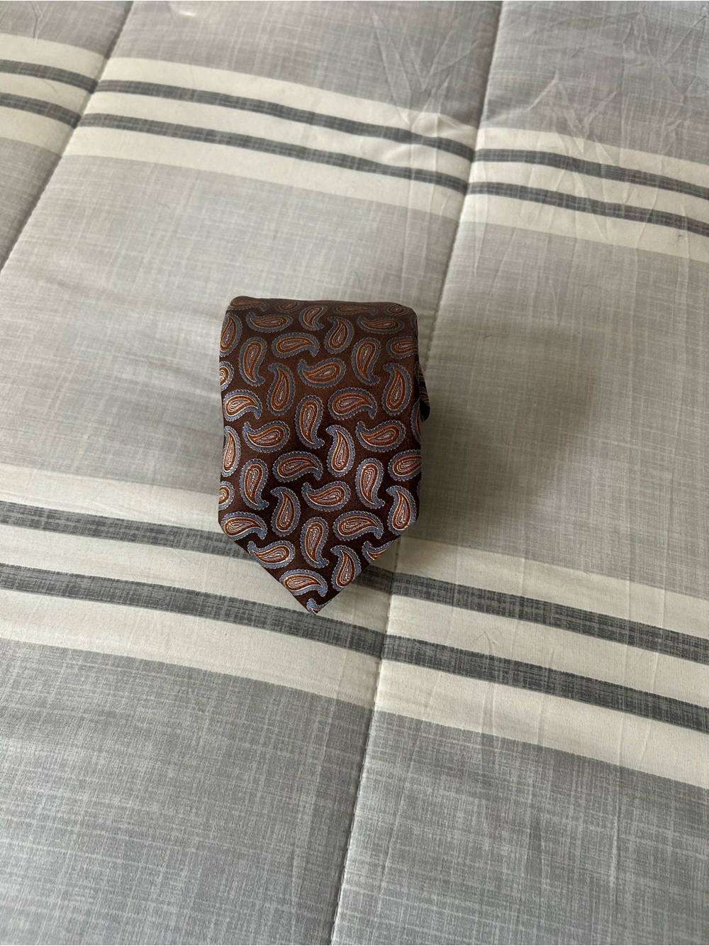 Altea Brown Paisley Silk Tie with Blue and Tan Accents